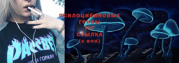 марки lsd Новозыбков
