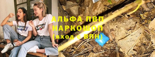 марки lsd Новозыбков