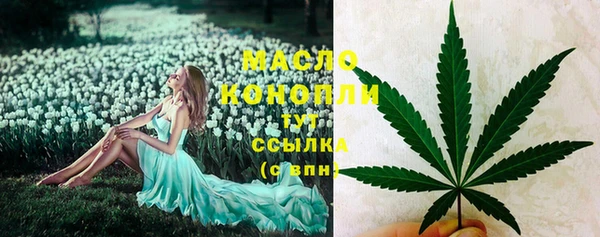 молекула духа Волоколамск
