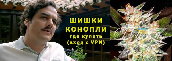 МДПВ Нея
