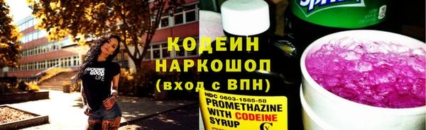 крисы Инта