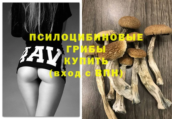 марки lsd Новозыбков
